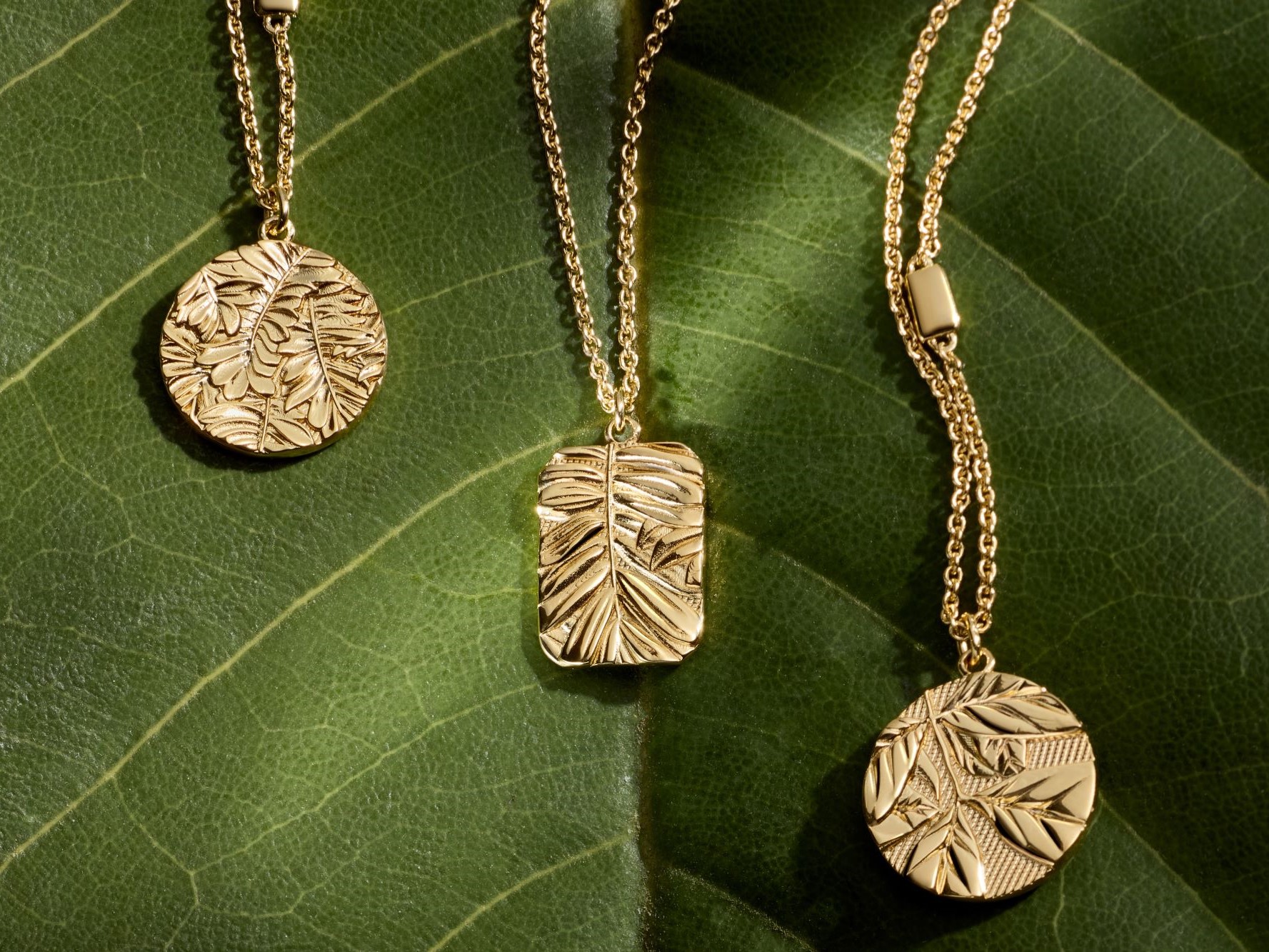 Earth Day | The Terra collection has landed