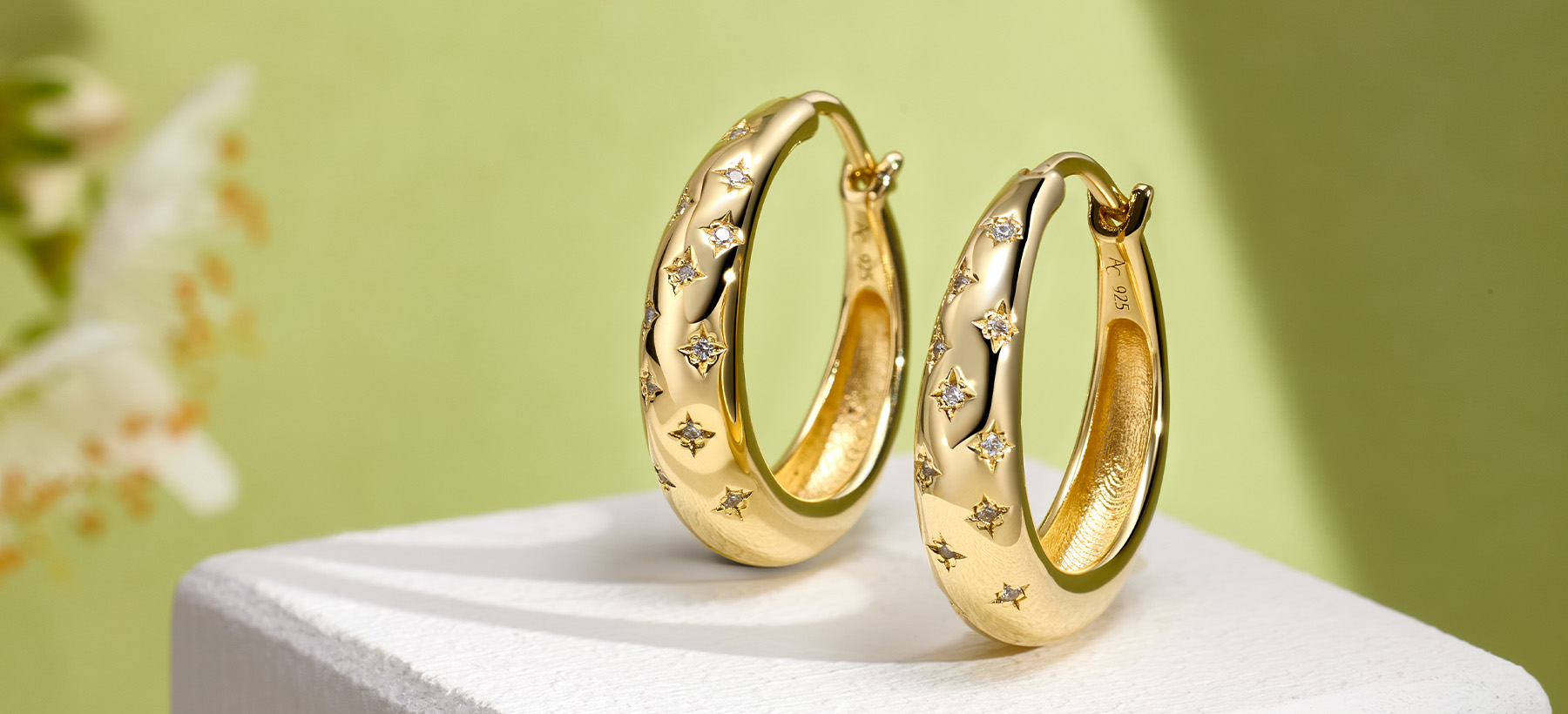 Hoop Earrings